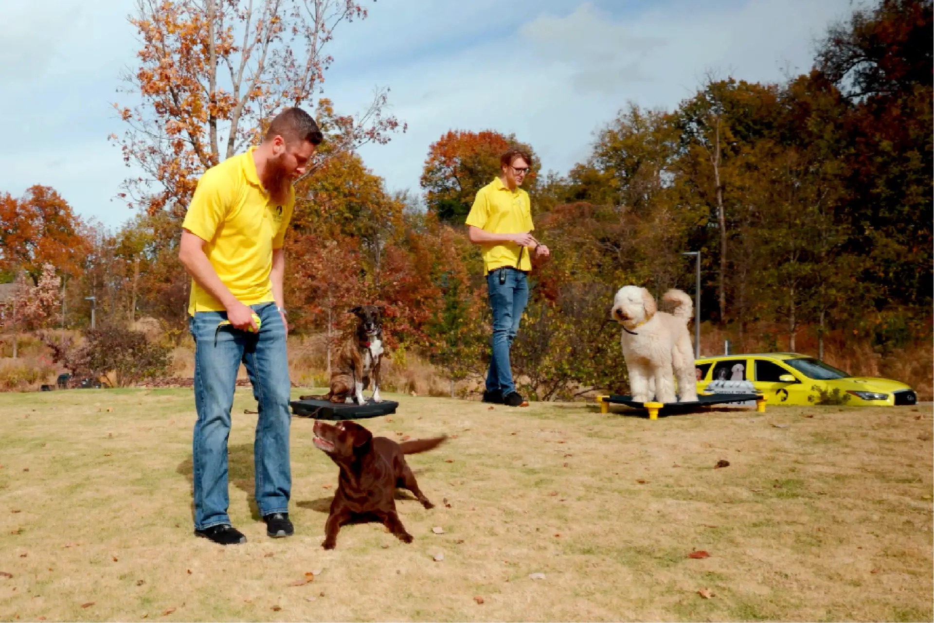 Ryan training a dog outdoors during a real-world session